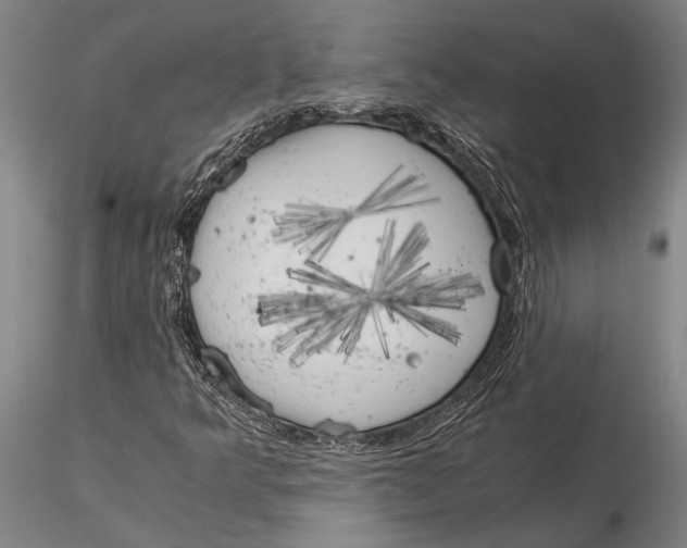 X0000116051349200912111454