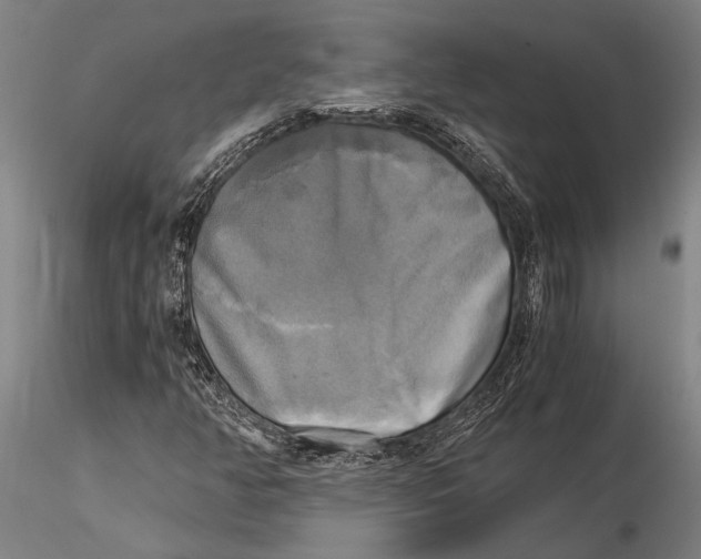 X0000116051350200912111454