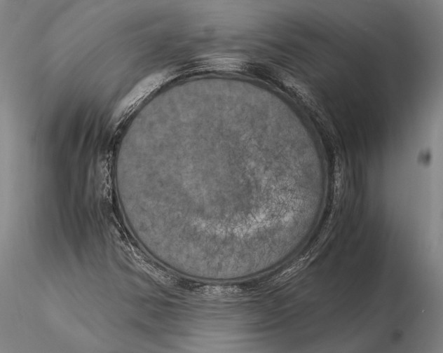X0000116051354200912111454