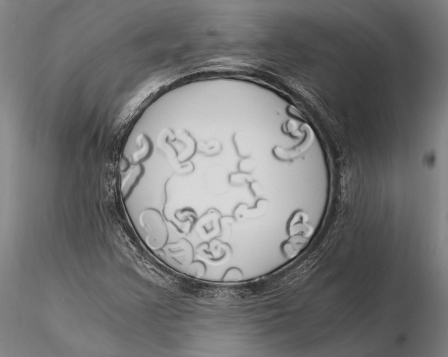 X0000116051355200912111454
