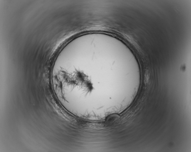 X0000116051356200912111454