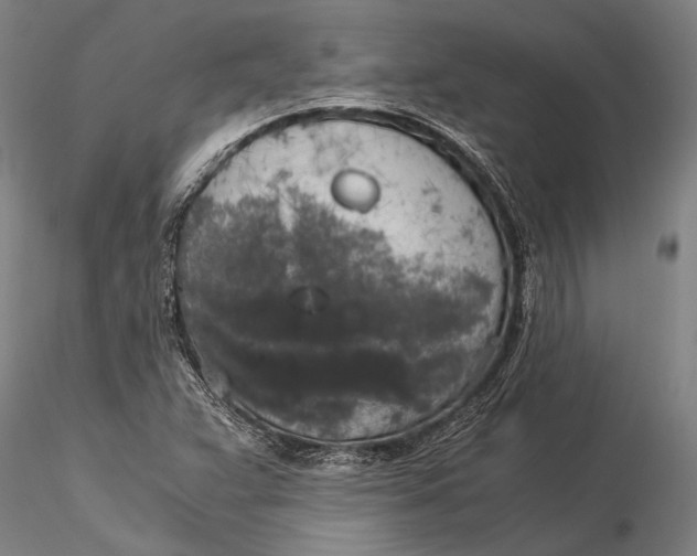 X0000116051359200912111454