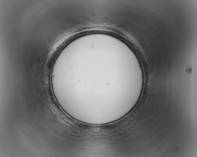 X0000116051360200912111454