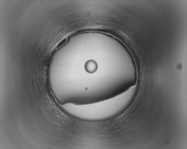 X0000116051361200912111454