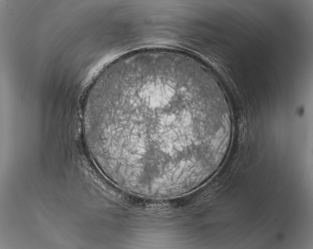X0000116051363200912111454