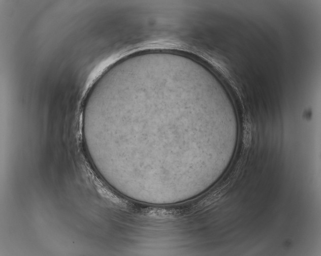 X0000116051366200912111454