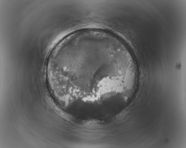 X0000116051367200912111454