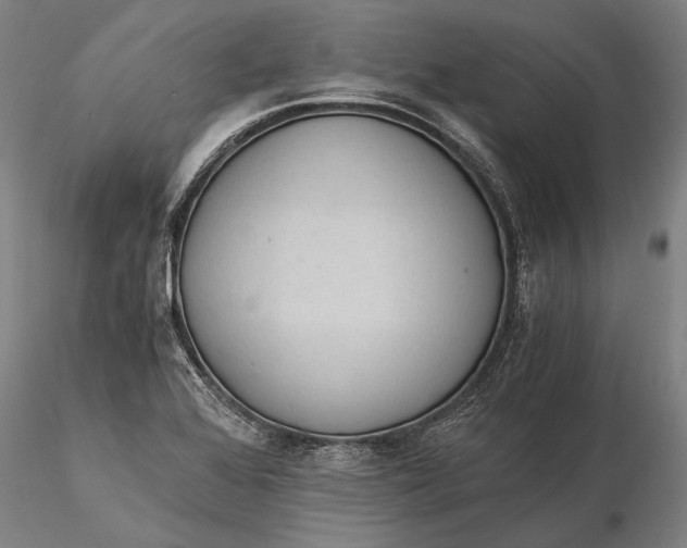 X0000116051368200912111454