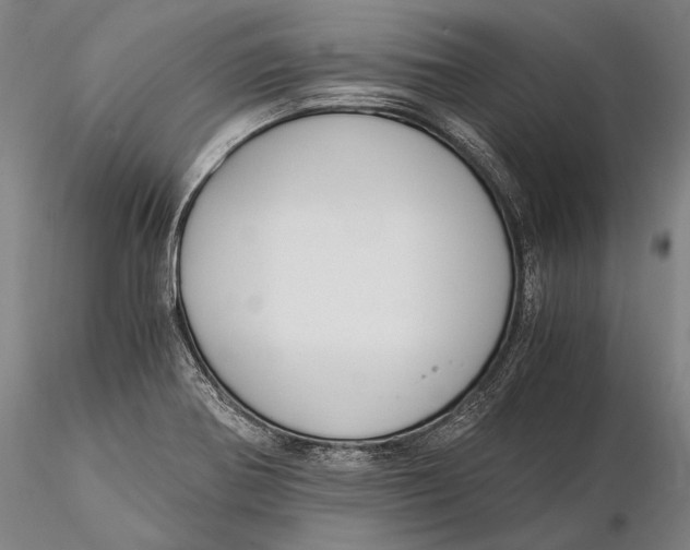 X0000116051370200912111454