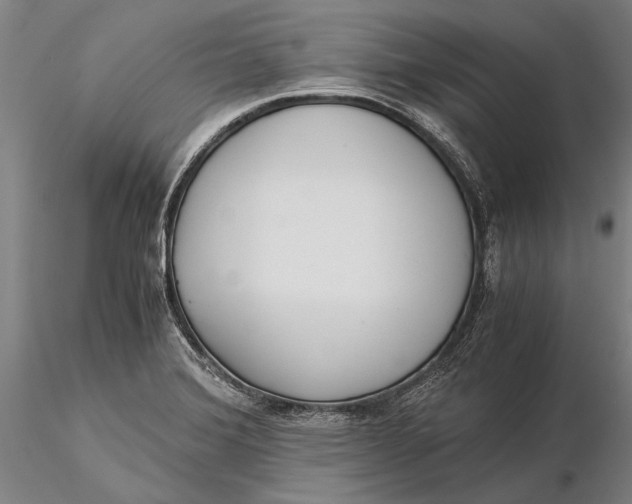 X0000116051372200912111454