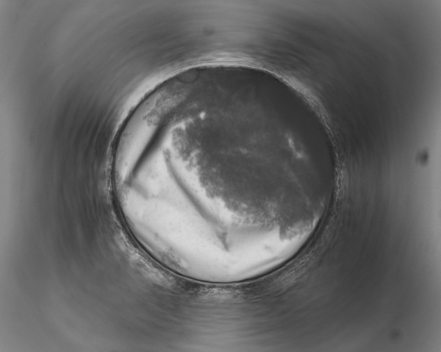 X0000116051374200912111454