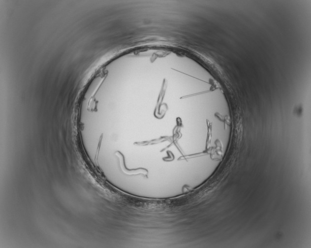 X0000116051375200912111454