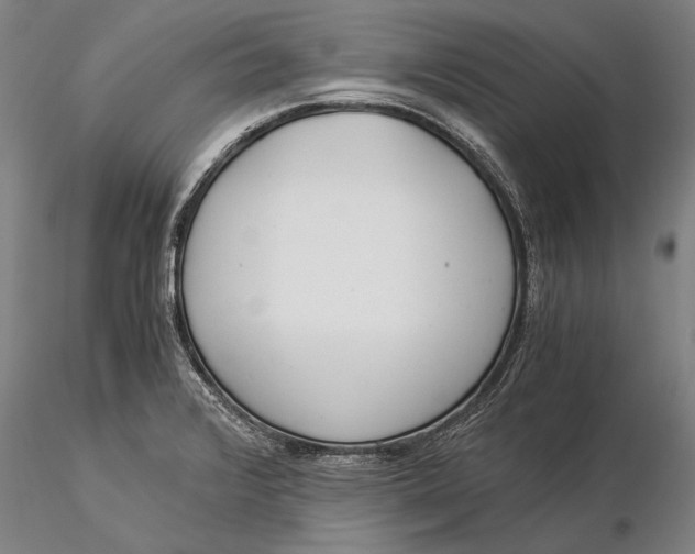 X0000116051376200912111454