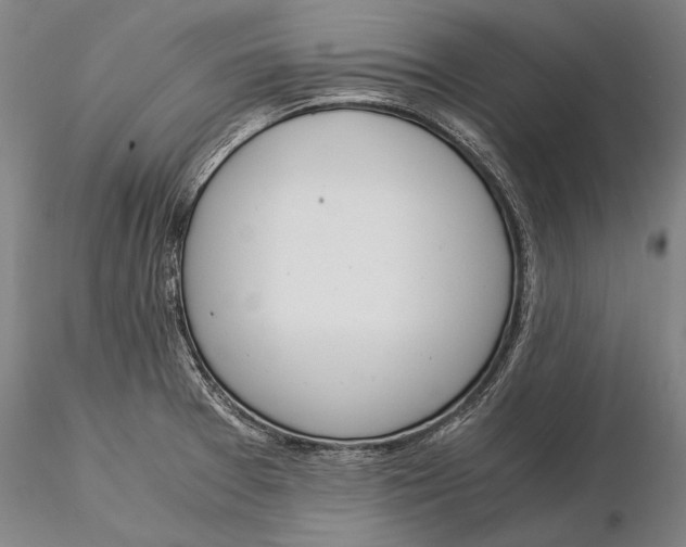X0000116051377200912111454