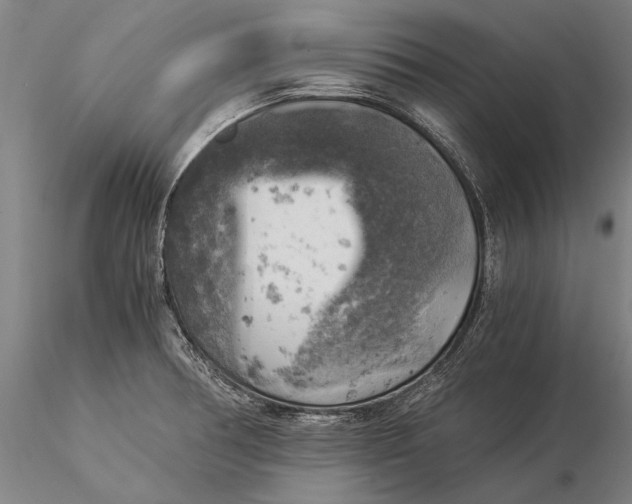 X0000116051378200912111454