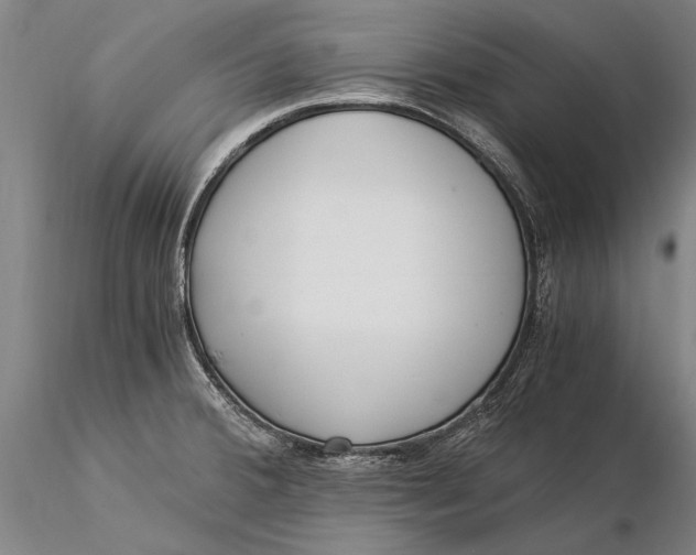 X0000116051380200912111454