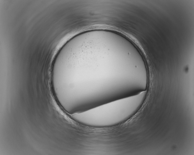 X0000116051381200912111454