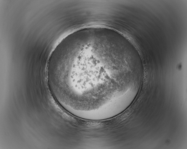 X0000116051382200912111454