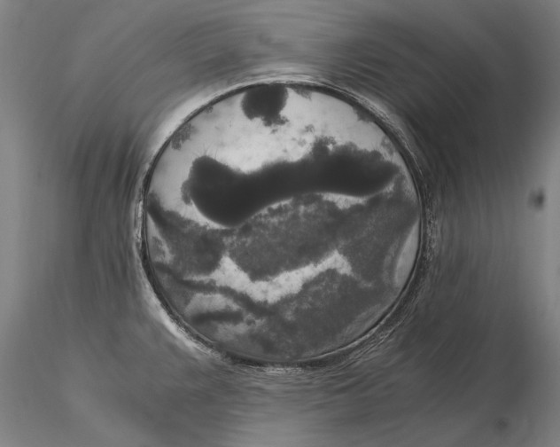 X0000116051383200912111454