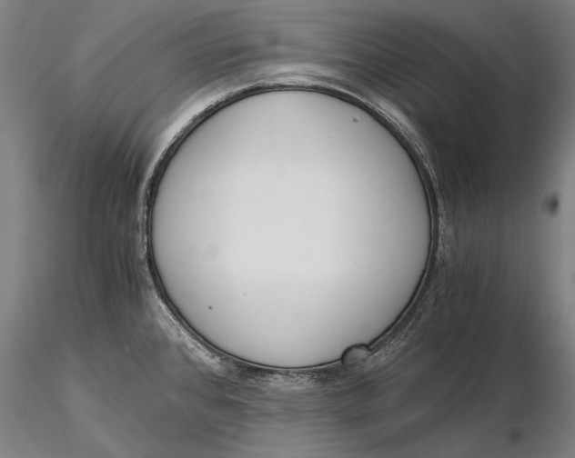 X0000116051384200912111454