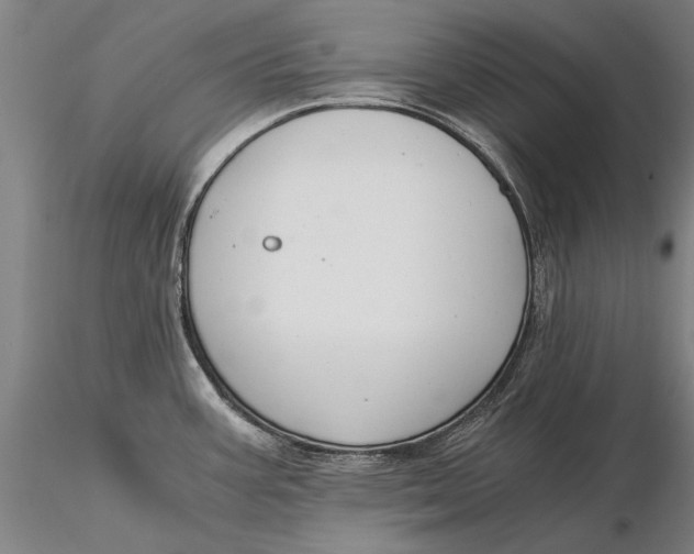 X0000116051387200912111454