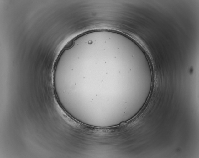 X0000116051388200912111454
