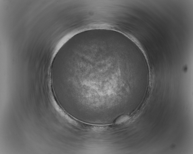 X0000116051389200912111454