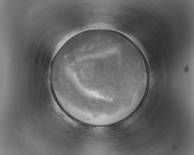 X0000116051390200912111454