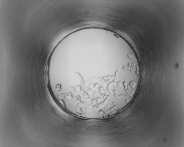 X0000116051391200912111454