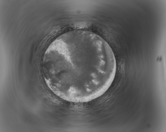 X0000116051393200912111453