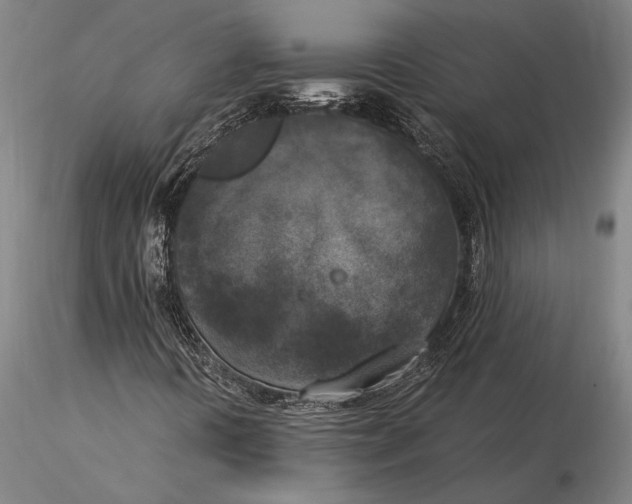 X0000116051394200912111453