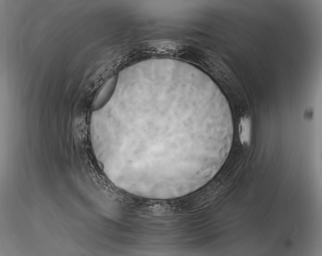 X0000116051395200912111453