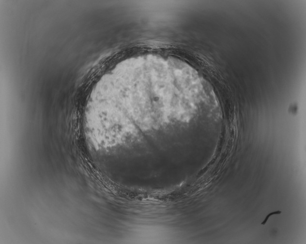 X0000116051398200912111453