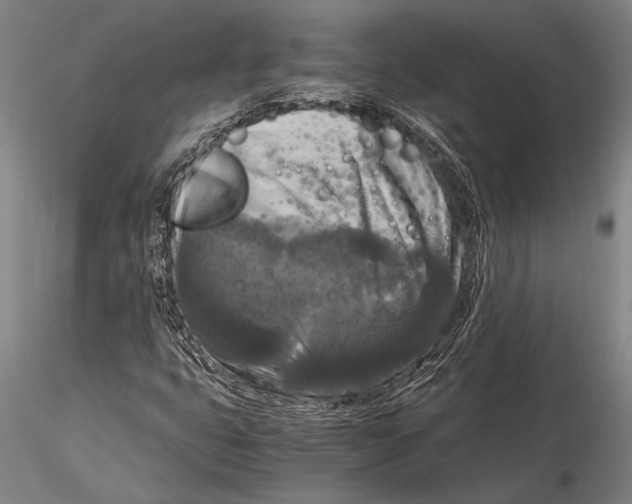 X0000116051399200912111453