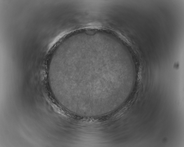 X0000116051400200912111453