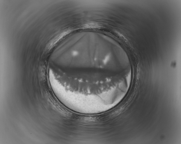 X0000116051401200912111453