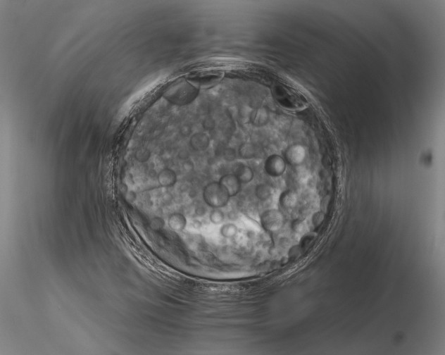 X0000116051403200912111453