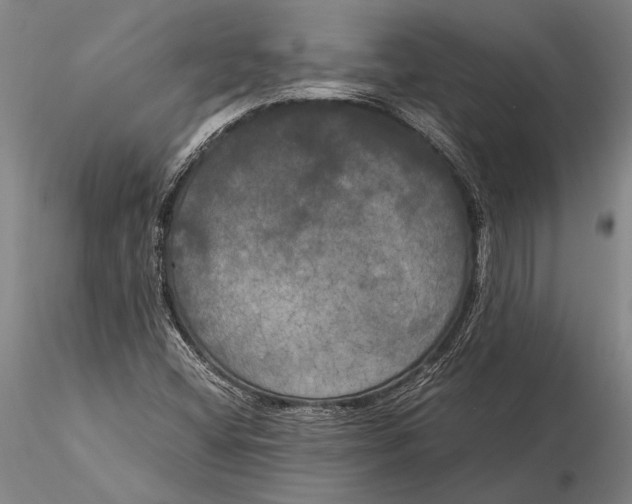 X0000116051404200912111453