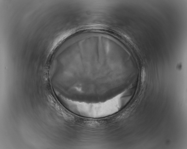 X0000116051405200912111453