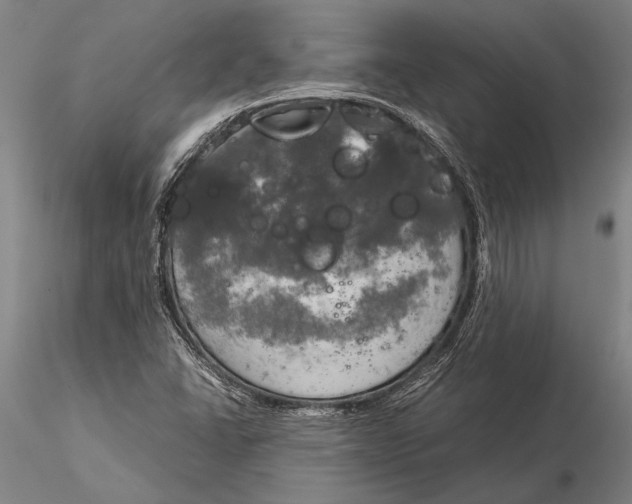 X0000116051406200912111453