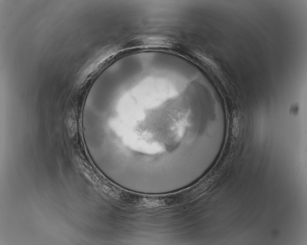 X0000116051407200912111453
