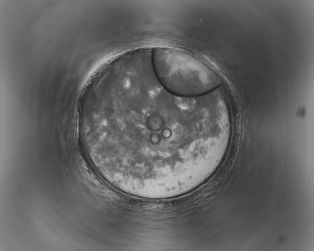 X0000116051408200912111453