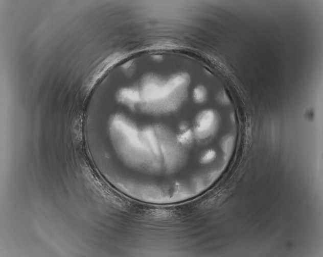 X0000116051409200912111453