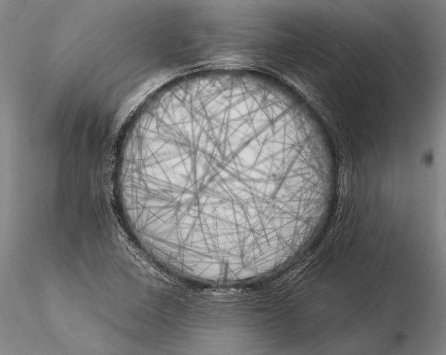 X0000116051410200912111453