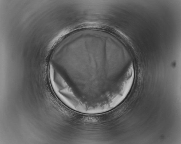 X0000116051411200912111453