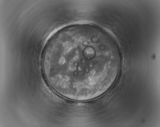 X0000116051412200912111453