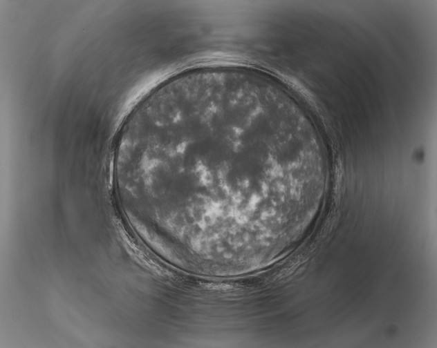 X0000116051413200912111453