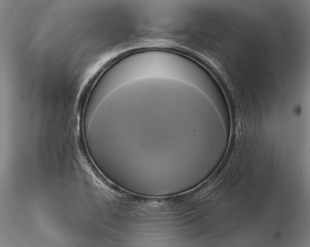 X0000116051414200912111453