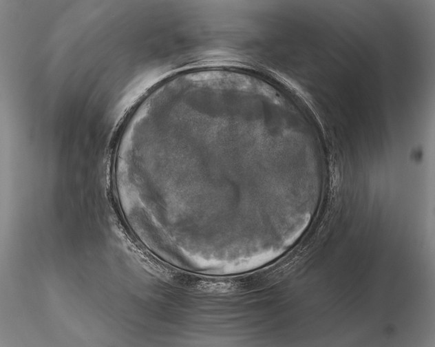 X0000116051415200912111453