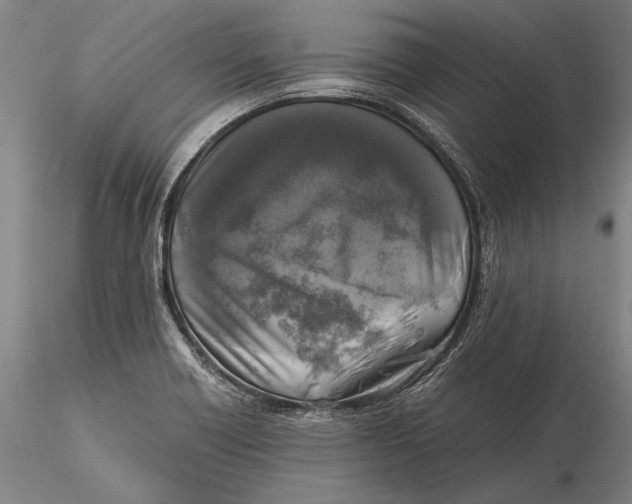 X0000116051418200912111453